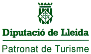 logo_diputacio